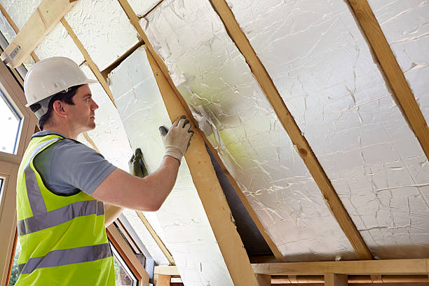 Best Specialized Insulation Services in Luther, OK